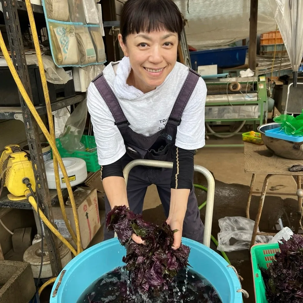 山形、薬膳、畑で梅干し、再会だって！