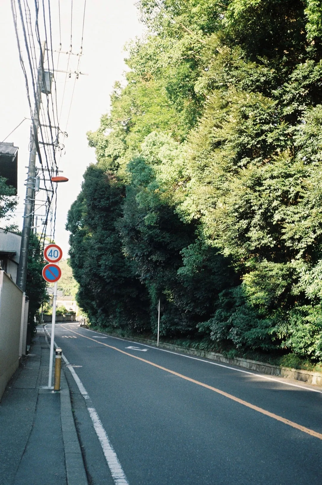 夏の1日