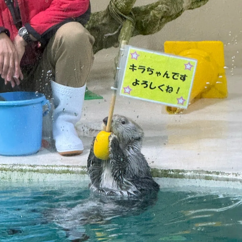 鳥羽水族館に行ってきました！