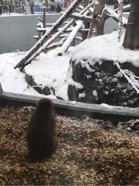 愛しい後ろ姿。
